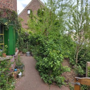 Plantenexplosie@Heydeken