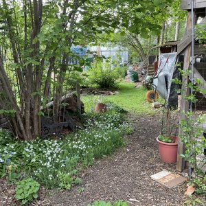 interessante biodiverse tuin van de fam de broeck