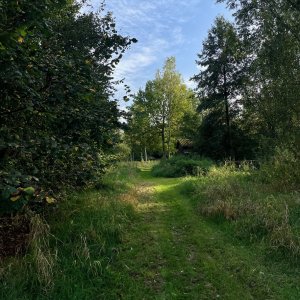 Voedselbos dn Oetelaar 1