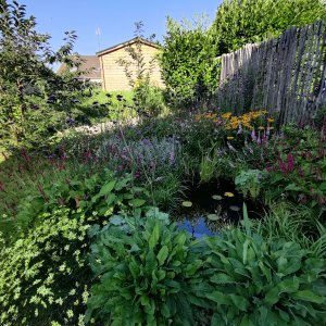 Zoe Westelinck_Wilsele