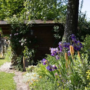 _copyright Kirsten.Bomans