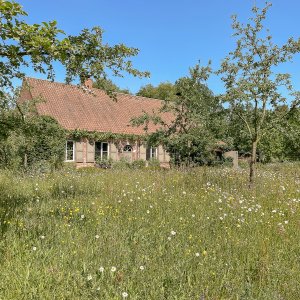 Natuurrijke tuinbeleving