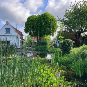 maarkedal-omer wattezstraat-twijland