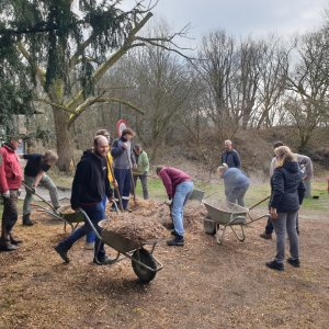 Hoevetuin hoeve diesegem