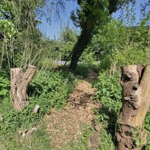 ecotuin van Pim en Ineke