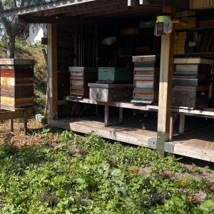 Imkertuin Achter 't Duunhek