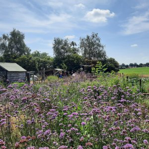 ecotuin van de vijfde weijde op de flipsweg