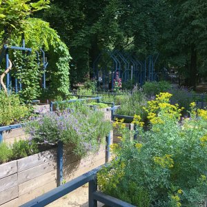 samentuin in provinciaal groendomein Hof van Leysen 1