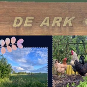 De Ark_Moorslede_Johan