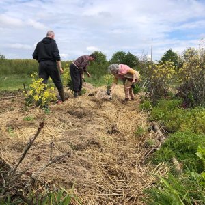 scherpenheuvel-zichem voedselbos zwaluweveld3