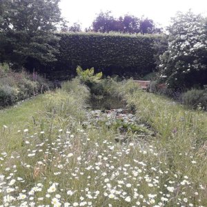 een plek waar iedereen welkom is-planten-dieren en mensen