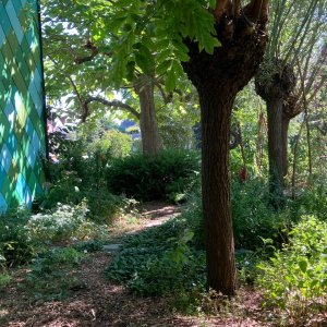 De hHelende dorpstuin: goed voor mens, dier, biodiversiteit en de Aarde