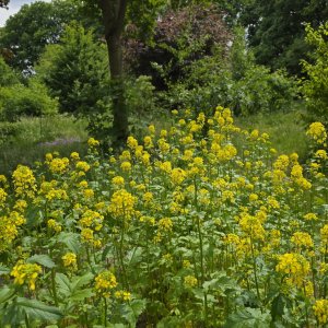 Wendy Frehe_Patersveld