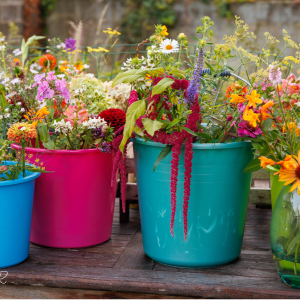 Westkerke Ossenweg Zee-van-Tijd
