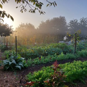 samentuin de Veldstraat