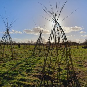 voedselbos zwijntjesbos
