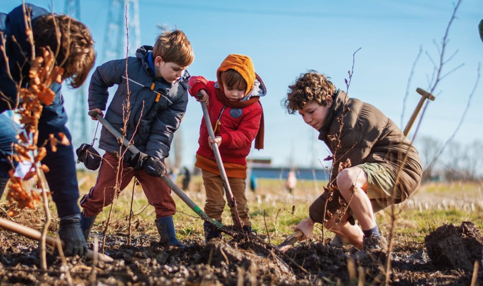 kinderen planten boom