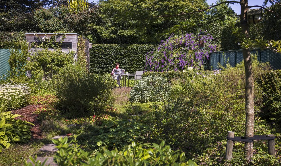 Verhardingen beperken in de tuin