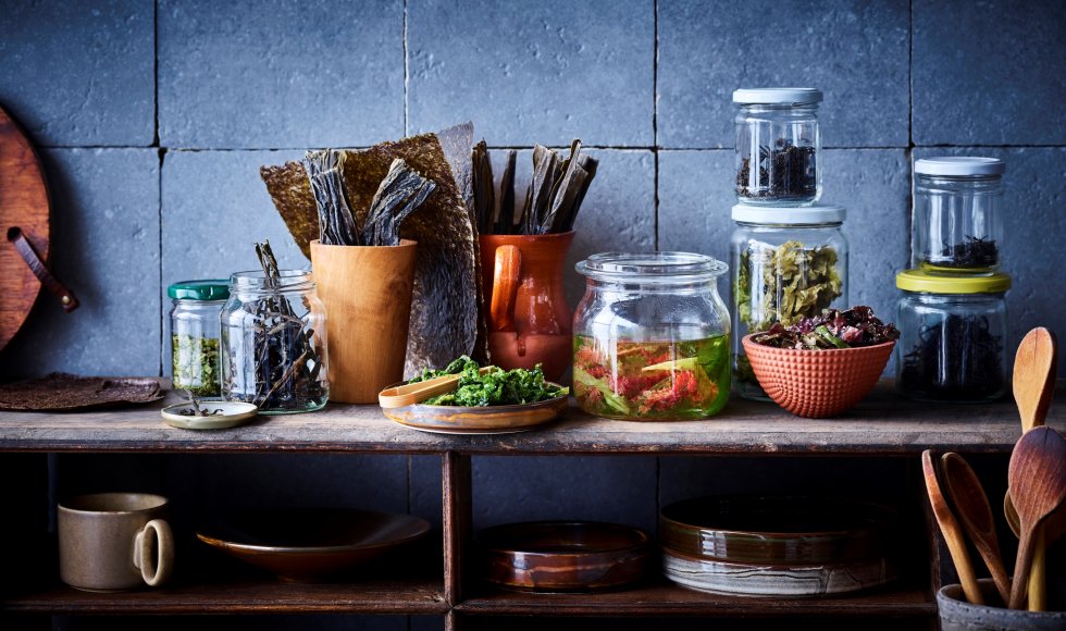 Zeewier @wouthendrickx