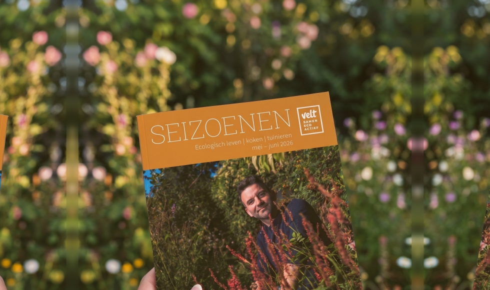 Seizoenen
