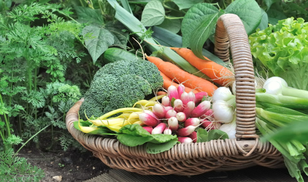 zomergroenten