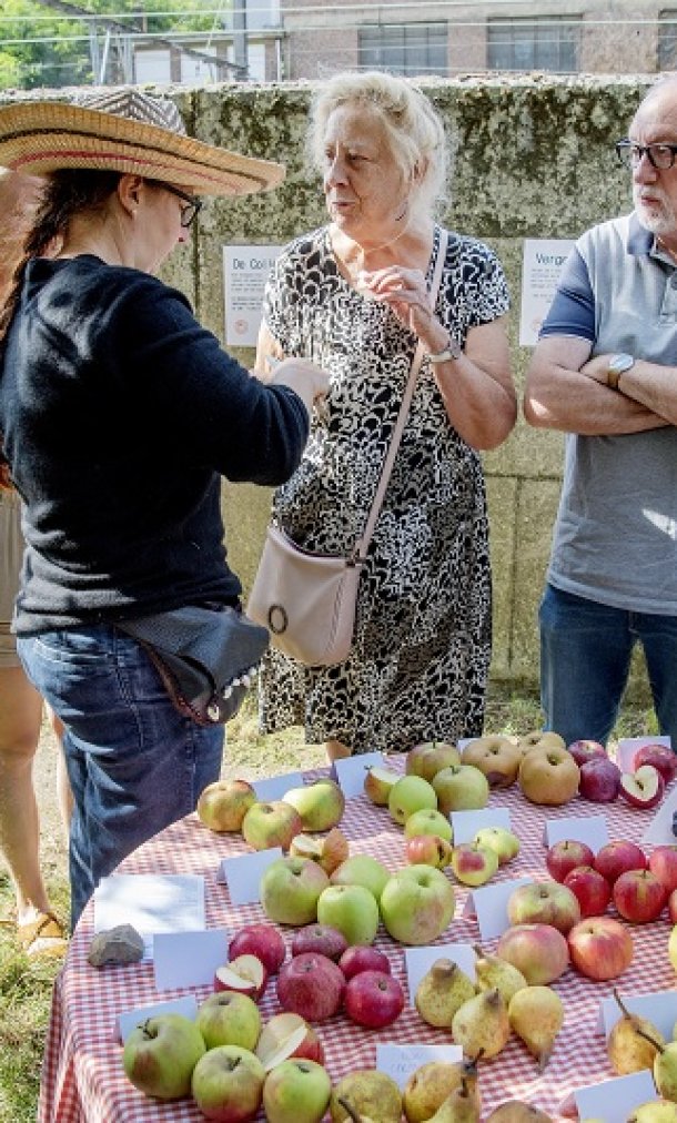 Fruitboomgaard in Etterbeek