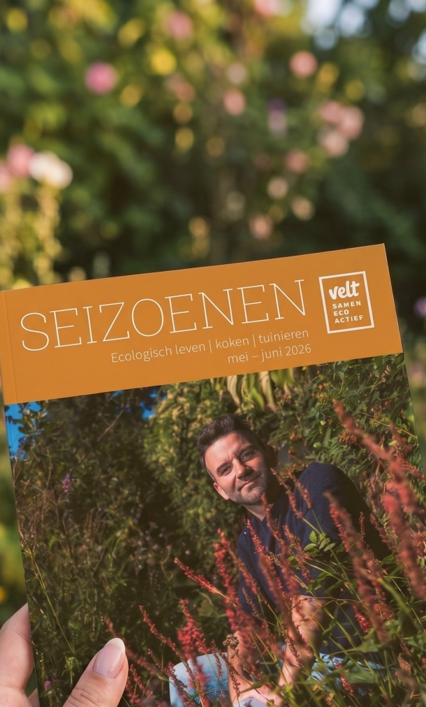 Seizoenen