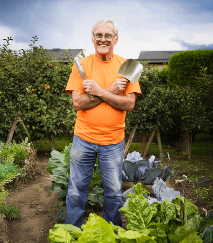 Zaaien Planten Oogsten - Jos