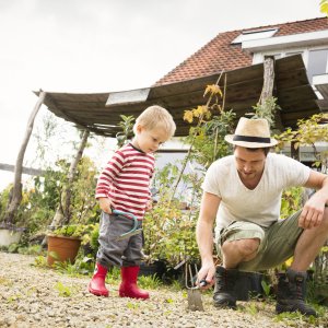 Tuinieren zonder pesticiden