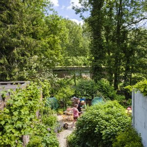 Pientere plantencombinaties