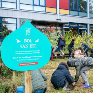 Biologische bloembollen