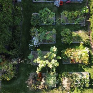 De wondere wereld van Sofie_Scheldewindeke_De Braeckenier