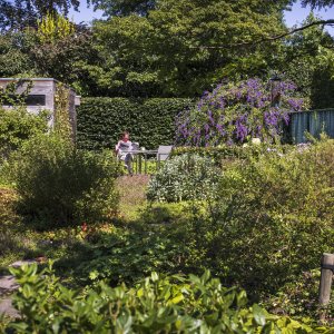 Verhardingen beperken in de tuin