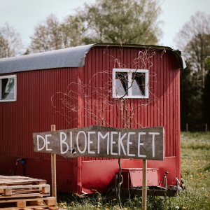 Ramsel De Bloemekeet 10