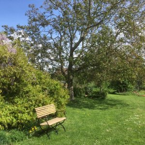 Dilbeek_Kattenstraat_Bes Klein en Sla Groot_Irina Estercam