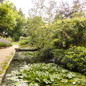 Velt-ecotuindagen 2022