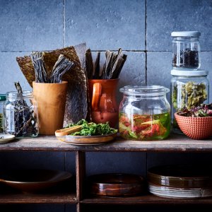 Zeewier @wouthendrickx