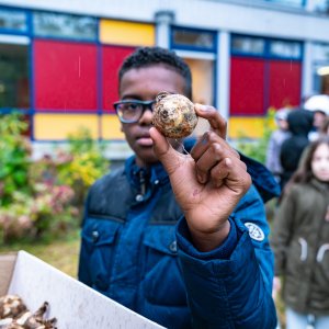 Aanplant van biologische bloembollen