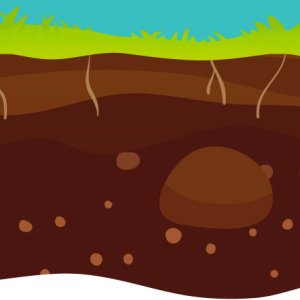 nuttige bodemdiertjes