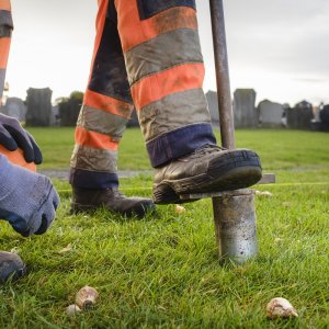 Aanplant biologische bloembollen in Londerzeel