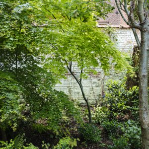 Bodem onkruidvrij houden