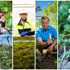 Brochure Onkruid bestaat niet