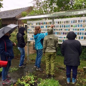 cadier en keer Wilde Planten Kwekerij 2