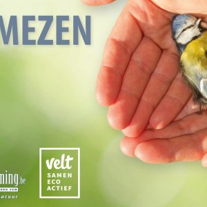 Campagnebeeld SOS Mezen