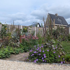 Marits privƩtuin