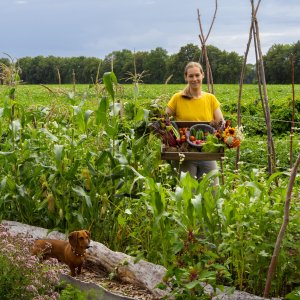 de tuin van Zevenmeers Zeven