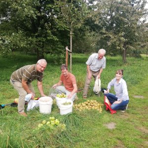buurtboomgaard Zwijndrecht