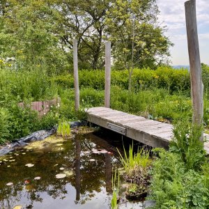 Tom Mestdagh_Schepdaal_Monty Don