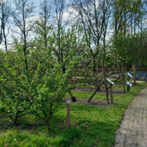 Natuurtuin 't Loo Bergeijk 2026