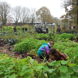 Phood farm